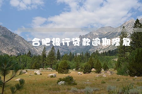 合肥银行贷款逾期修复