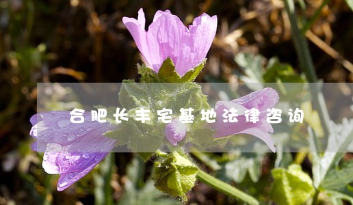 合肥长丰宅基地法律咨询 合肥长丰宅基地法律咨询