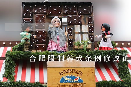 合肥限制养犬条例修改正加紧调研