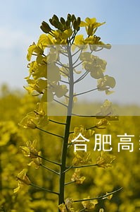 合肥高新区法院宣家旺一审 合肥高新区法院宣家旺一审
