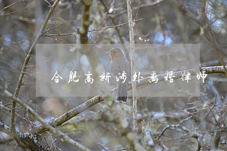 合肥高新涉外离婚律师 合肥高新涉外离婚律师