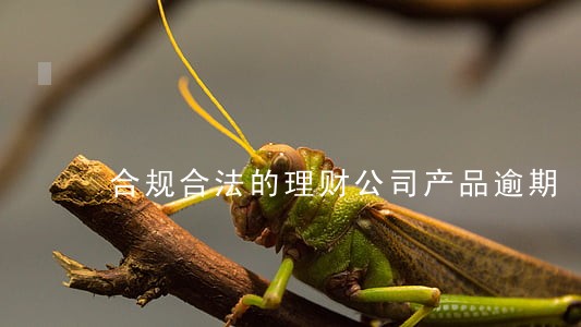 合规合法的理财公司产品逾期 合规合法的理财公司产品逾期