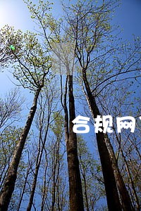 合规网贷逾期60天 合规网贷逾期60天