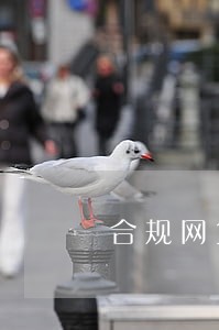 合规网贷逾期不协商展期 合规网贷逾期不协商展期