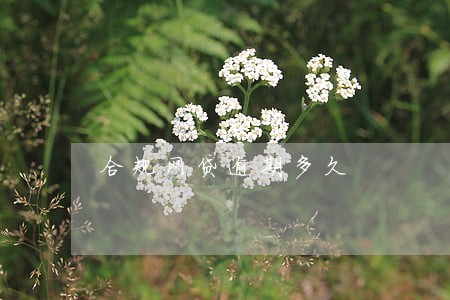 合规网贷逾期多久 合规网贷逾期多久