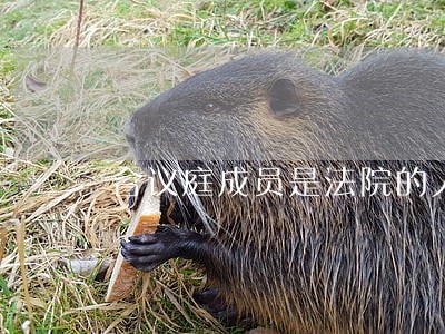 合议庭成员是法院的人吗 合议庭成员是法院的人吗