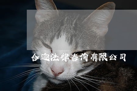 合迎法律咨询有限公司
