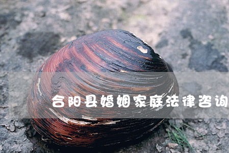 合阳县婚姻家庭法律咨询 合阳县婚姻家庭法律咨询