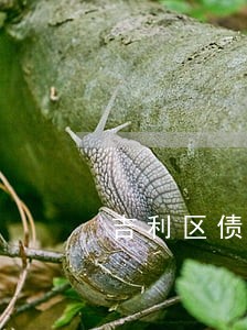 吉利区债权债务律师 吉利区债权债务律师