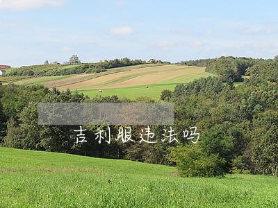 吉利服违法吗 吉利服违法吗