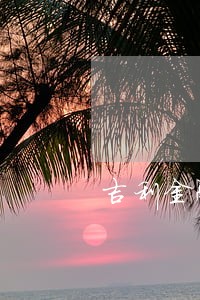 吉利金融2年免息逾期会怎么样 吉利金融2年免息逾期会怎么样
