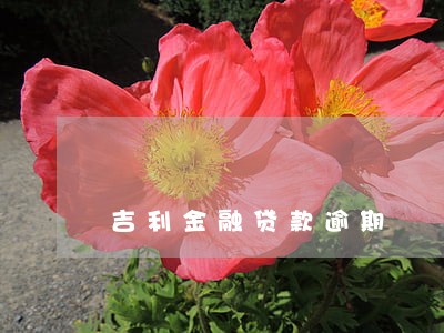 吉利金融贷款逾期 吉利金融贷款逾期