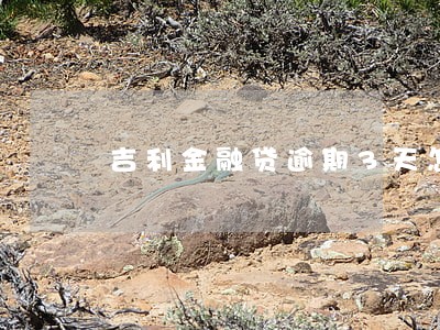 吉利金融贷逾期3天怎么办 吉利金融贷逾期3天怎么办