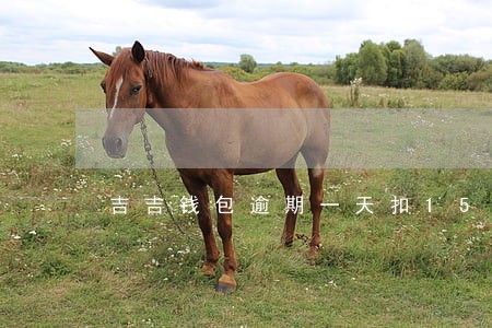 吉吉钱包逾期一天扣150合法吗