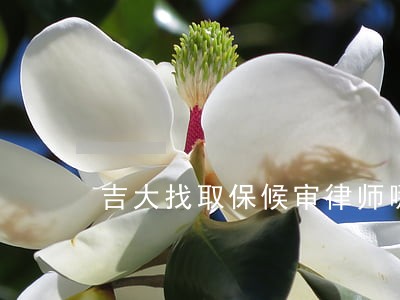 吉大找取保候审律师哪个好费用 吉大找取保候审律师哪个好费用