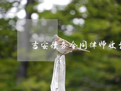 吉安债务合同律师收费标准 吉安债务合同律师收费标准
