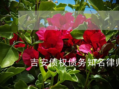 吉安债权债务知名律师 吉安债权债务知名律师