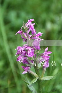 吉安劳动仲裁在线咨询 吉安劳动仲裁在线咨询