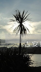 吉安县哪里有法律援助 吉安县哪里有法律援助