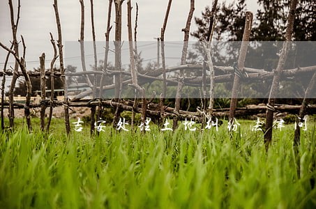 吉安处理土地纠纷法律问题律师 吉安处理土地纠纷法律问题律师