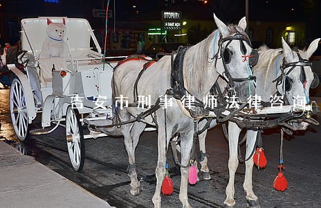 吉安市刑事律师法律咨询 吉安市刑事律师法律咨询
