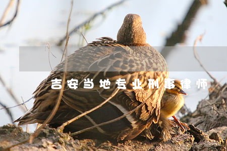 吉安当地专业刑事律师 吉安当地专业刑事律师