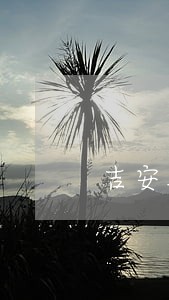 吉安泰和县债务合同律师电话 吉安泰和县债务合同律师电话