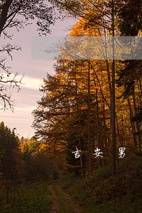 吉安男子遇法律障碍
