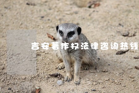 吉安著作权法律咨询热线