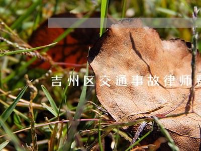 吉州区交通事故律师费收费合理