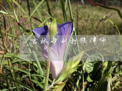 吉林专利打假律师