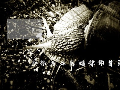 吉林专办离婚律师首页推荐