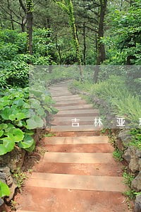吉林亚琦违法解除劳动合同 吉林亚琦违法解除劳动合同