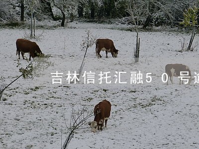 吉林信托汇融50号逾期 吉林信托汇融50号逾期