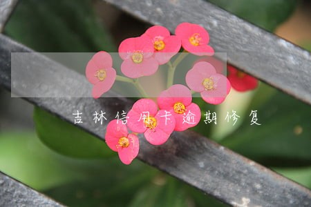 吉林信用卡逾期修复 吉林信用卡逾期修复