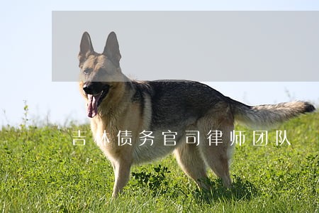 吉林债务官司律师团队 吉林债务官司律师团队