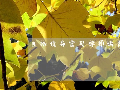 吉林债务官司律师收费标准 吉林债务官司律师收费标准