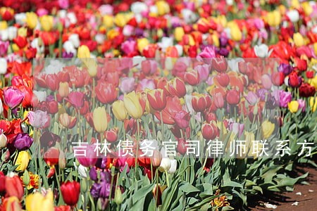 吉林债务官司律师联系方式 吉林债务官司律师联系方式