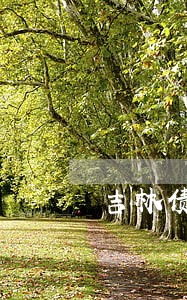 吉林债务担保律师哪家强 吉林债务担保律师哪家强