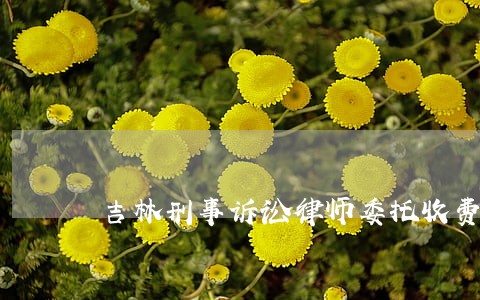 吉林刑事诉讼律师委托收费 吉林刑事诉讼律师委托收费