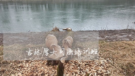 吉林厚大司法培训班