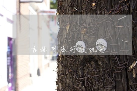 吉林司法行政执行 吉林司法行政执行