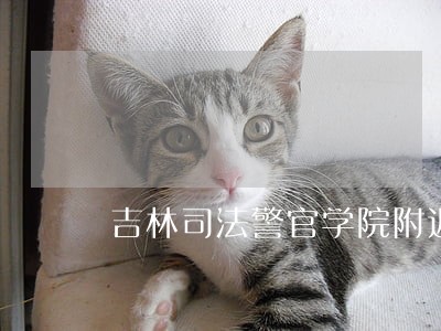吉林司法警官学院附近汽车修配厂 吉林司法警官学院附近汽车修配厂