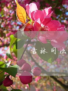吉林司法警官职业学院中专可以 吉林司法警官职业学院中专可以