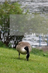 吉林司法警官职业学院是提前批报