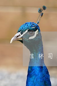 吉林司法鉴定中心 吉林司法鉴定中心