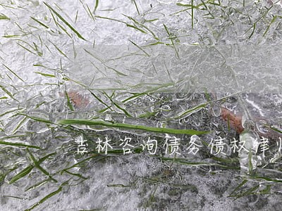 吉林咨询债务债权律师 吉林咨询债务债权律师