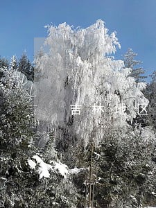 吉林地区债务官司律师联系电话 吉林地区债务官司律师联系电话