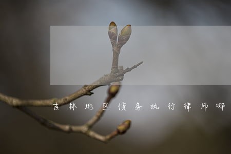 吉林地区债务执行律师哪个好 吉林地区债务执行律师哪个好