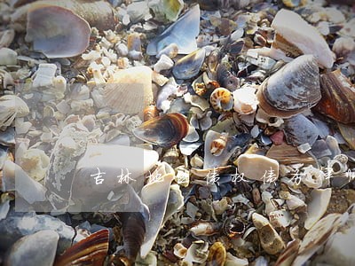 吉林地区债权债务律师所地址 吉林地区债权债务律师所地址